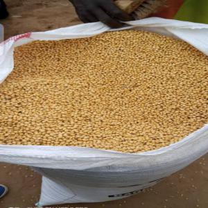 sac de soja - Agriculture